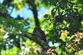 18 07 16_9056_edited-1